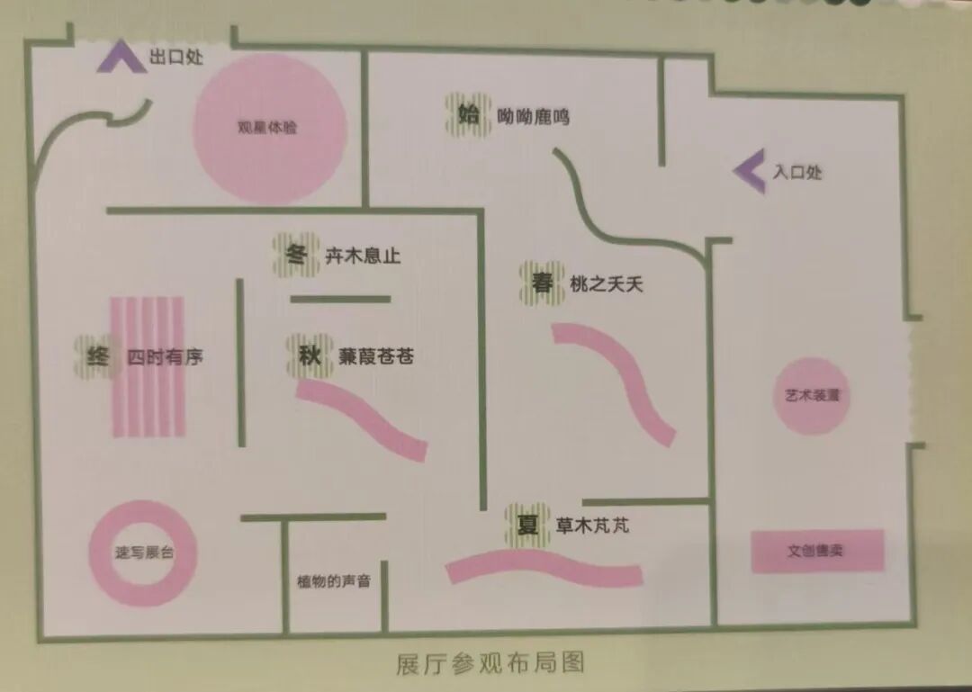 布局.jpg